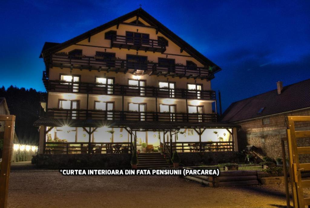 Hotel Vila Hora Cu Brazi Zărneşti Exterior foto